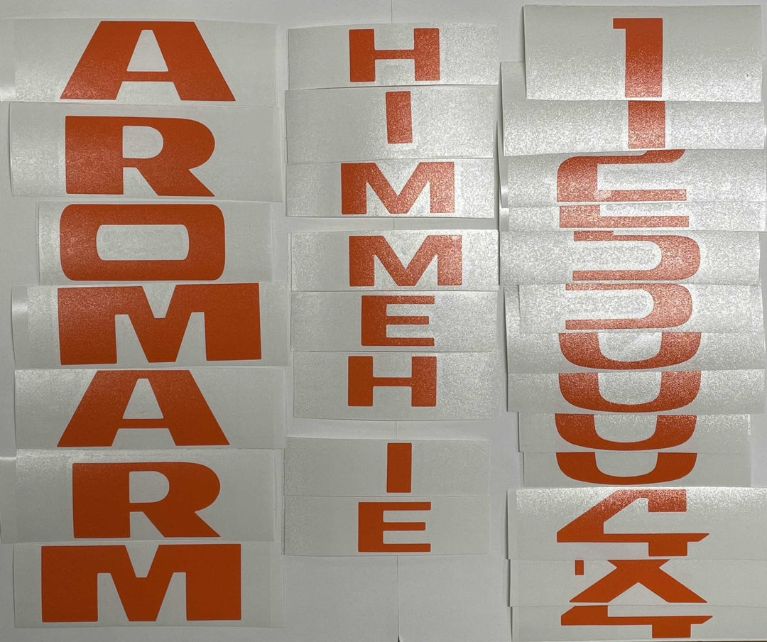 Premium Cast Vinyl Decal Letter Inlays for 2011-2018 RAM 1500/2500 Doors